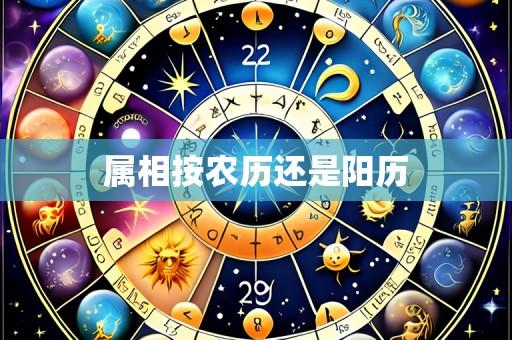 属相按农历还是阳历