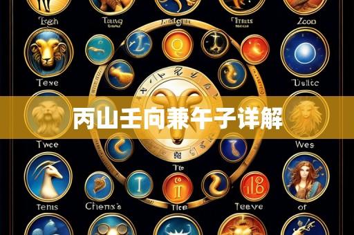 丙山壬向兼午子详解