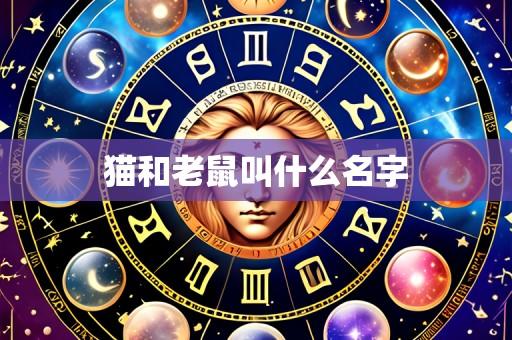 猫和老鼠叫什么名字