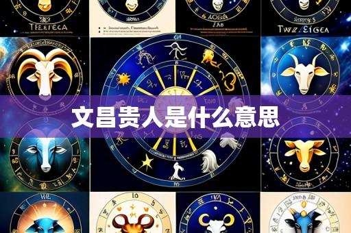文昌贵人是什么意思