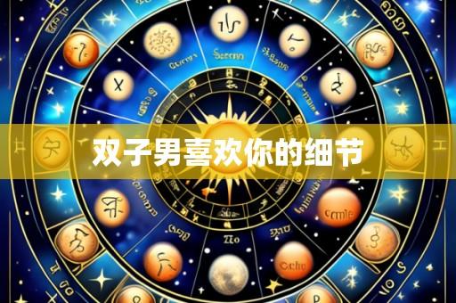 双子男喜欢你的细节