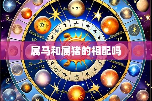 属马和属猪的相配吗