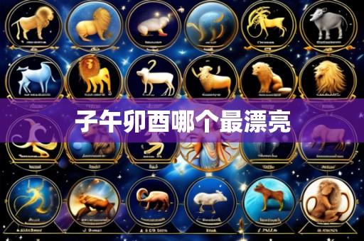 子午卯酉哪个最漂亮