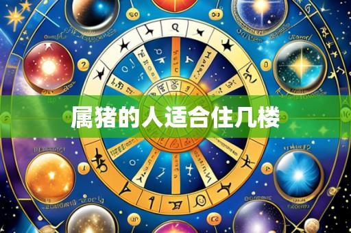属猪的人适合住几楼
