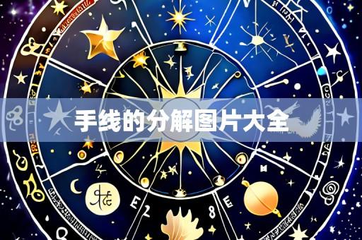 手线的分解图片大全
