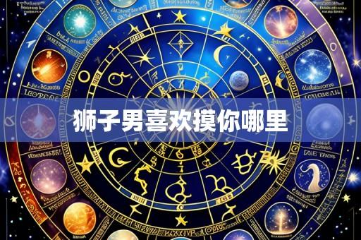 狮子男喜欢摸你哪里
