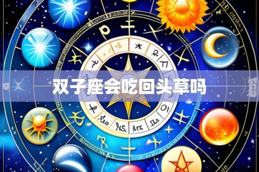 双子座会吃回头草吗