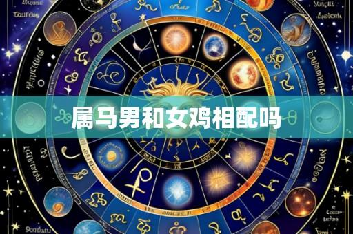 属马男和女鸡相配吗