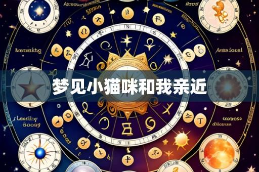梦见小猫咪和我亲近