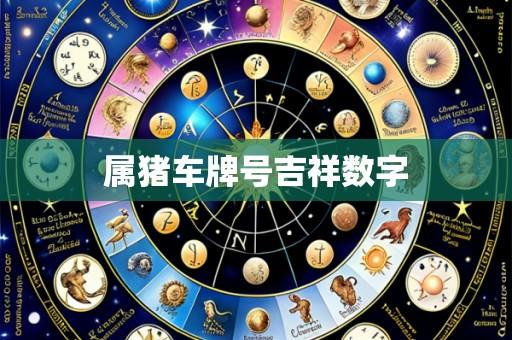 属猪车牌号吉祥数字