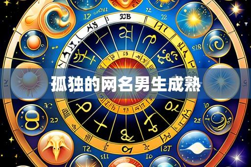 孤独的网名男生成熟
