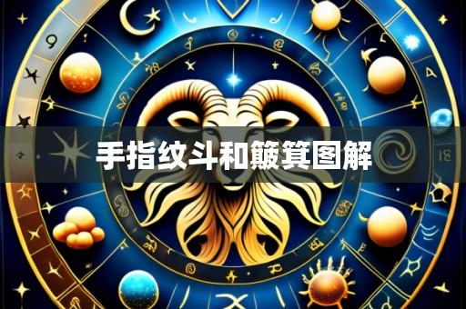 手指纹斗和簸箕图解