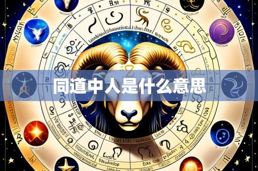 同道中人是什么意思