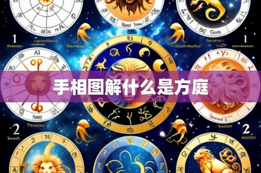 手相图解什么是方庭