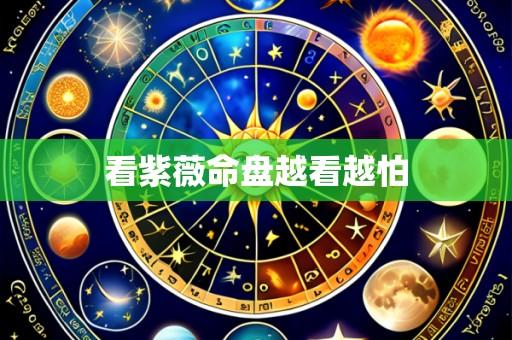 看紫薇命盘越看越怕