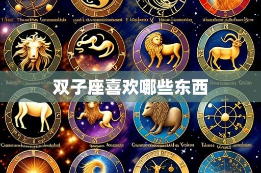 双子座喜欢哪些东西