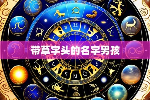 带草字头的名字男孩