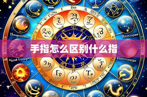 手指怎么区别什么指
