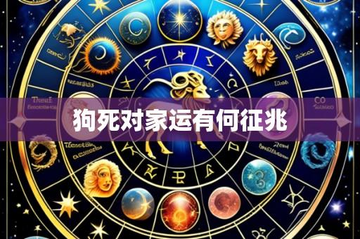 狗死对家运有何征兆