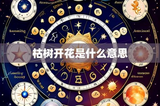 枯树开花是什么意思
