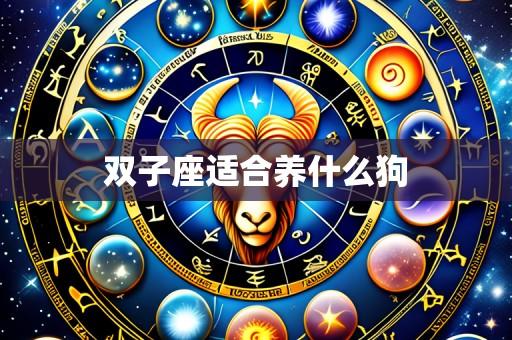 双子座适合养什么狗