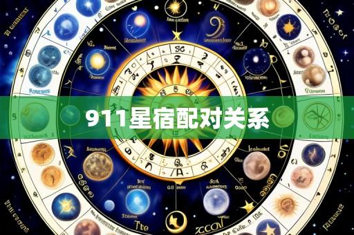 911星宿配对关系