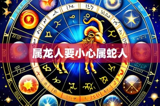 属龙人要小心属蛇人
