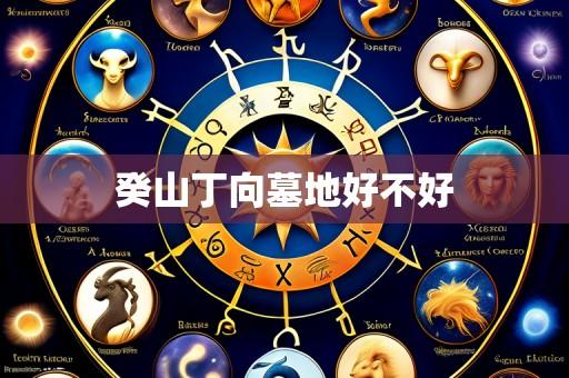 癸山丁向墓地好不好