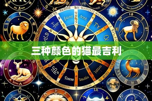 三种颜色的猫最吉利