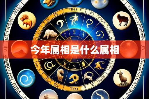 今年属相是什么属相