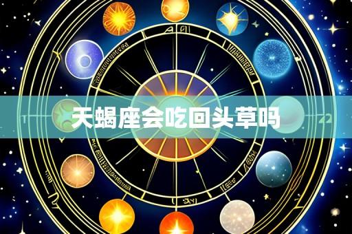 天蝎座会吃回头草吗