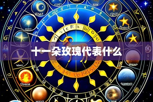 十一朵玫瑰代表什么