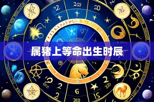属猪上等命出生时辰