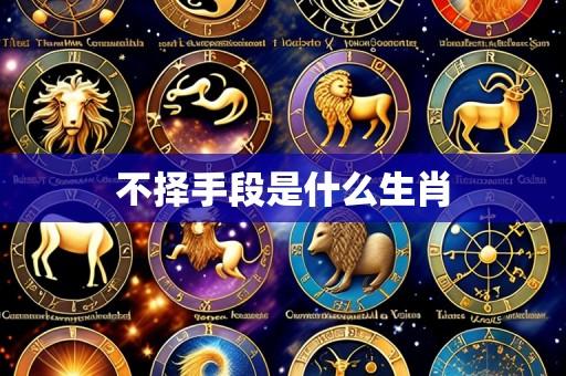 不择手段是什么生肖