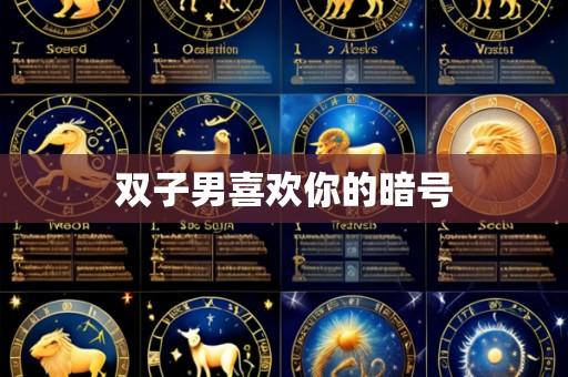 双子男喜欢你的暗号