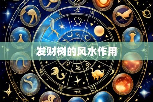 发财树的风水作用