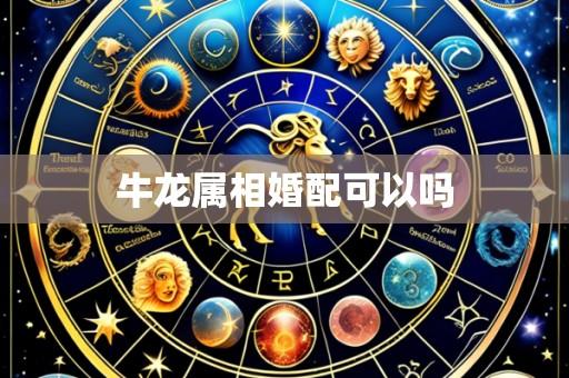 牛龙属相婚配可以吗