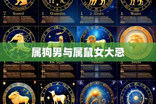 属狗男与属鼠女大忌