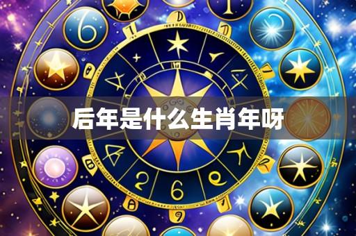 后年是什么生肖年呀