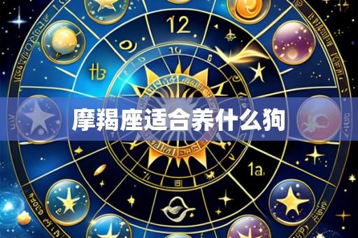 摩羯座适合养什么狗
