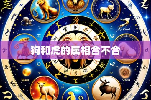狗和虎的属相合不合