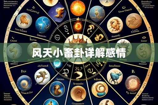 风天小畜卦详解感情