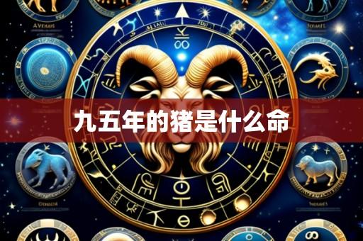 九五年的猪是什么命