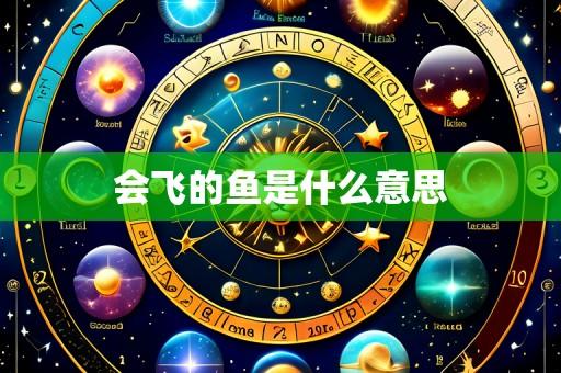 会飞的鱼是什么意思