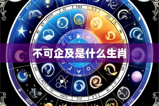 不可企及是什么生肖