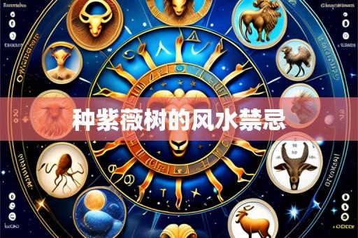 种紫薇树的风水禁忌