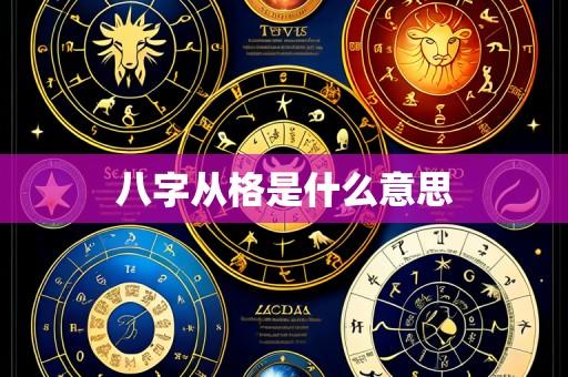 八字从格是什么意思