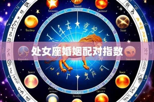 处女座婚姻配对指数