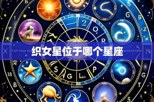 织女星位于哪个星座
