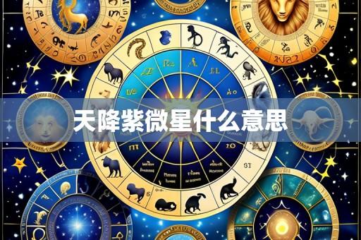 天降紫微星什么意思